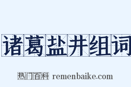 诸葛盐井组词是什么意思的图片